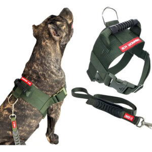 Peitoral Tático Gg Com Guia Verde Militar Canadá K9 Para Cães Grandes