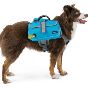 Mochila Petami Dog Para Cães De Médio E Grande Porte, Alforj