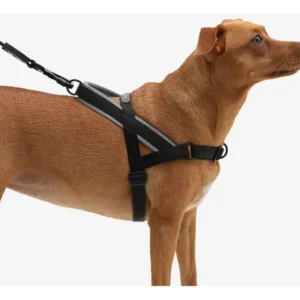 Peitoral Antipuxão Zee.Dog Softerwalk Gotham Cão G Preto Náilon