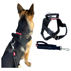 Coleira Peitoral Tático G P/ Cães 22-45kg Canada K9 Preto + Guia 1,3m