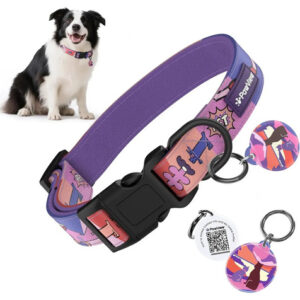 Coleira Pawview Para Cães Pequenos Lilás, Com Plaquinha Qr Code E Ajuste De 28 A 43 Cm